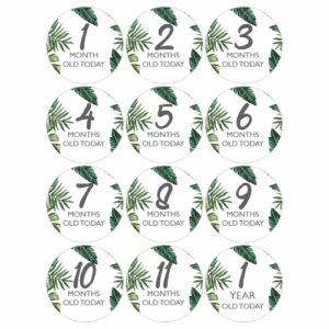 Custom printed baby milestones on 3mm MDF with a tropical theme